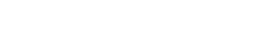 Logo Neoness
